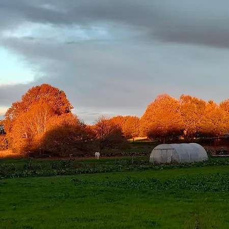 펜션 Casa Telmo San Martin (Lugo)