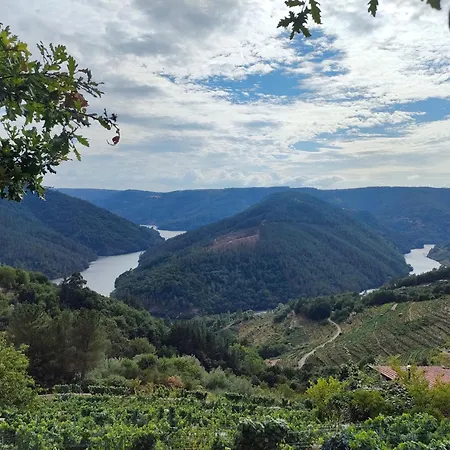 Casa Telmo 펜션 San Martin (Lugo)