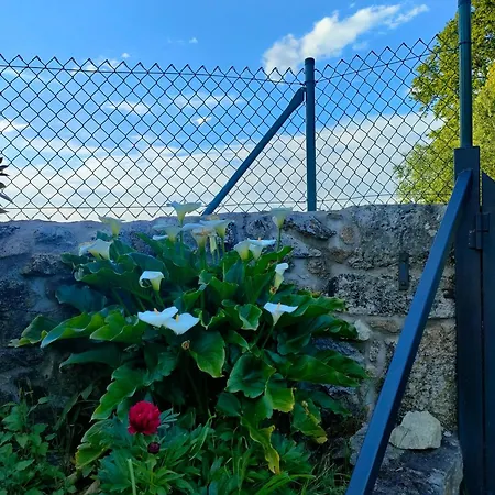 Casa Telmo Holiday home