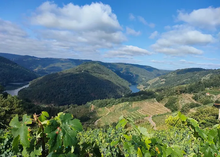 Σπίτι διακοπών Casa Telmo San Martin (Lugo)