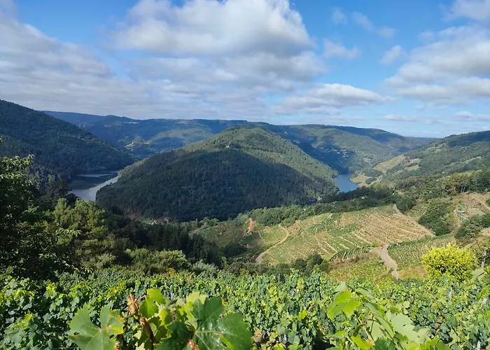 Casa Telmo * San Martin (Lugo)