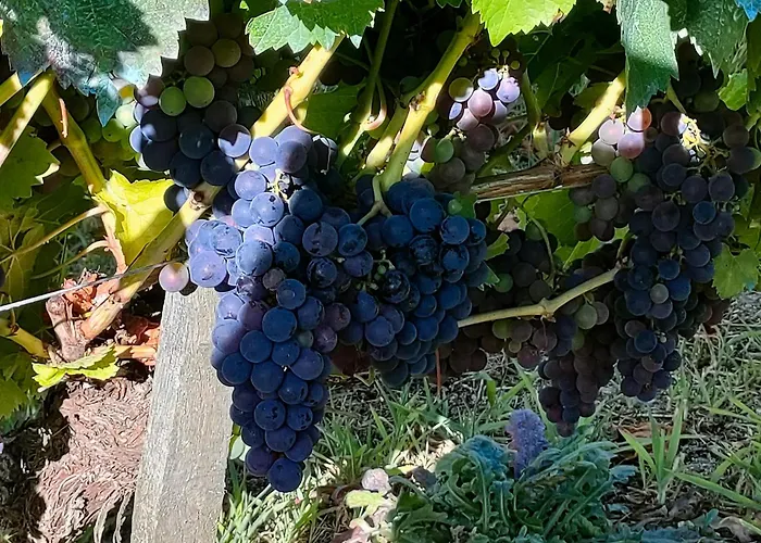 Casa Telmo Σπίτι διακοπών San Martin (Lugo)